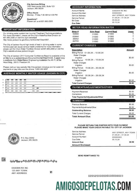 Para baixar modelo Word e PDF para projeto de lei de serviços públicos, EUA, CIDADE DE JACKSON